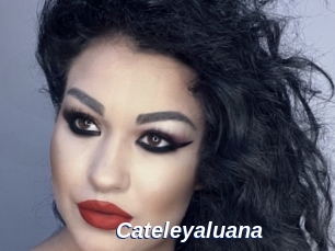 Cateleyaluana