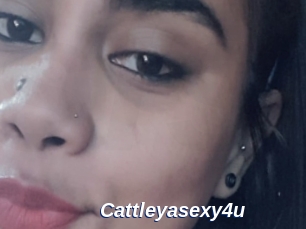 Cattleyasexy4u