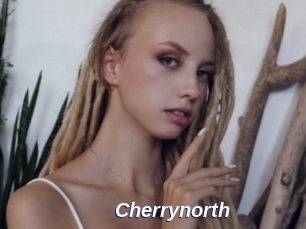 cherrynorth Safer Sex