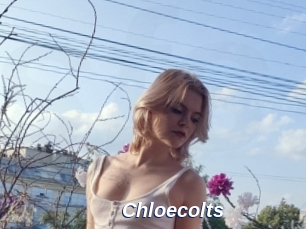 Chloecolts