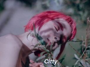 Citty