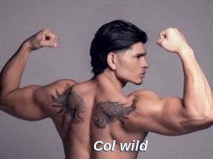 col_wild Safer Sex