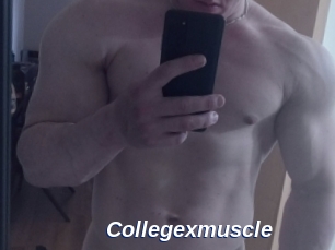 Collegexmuscle
