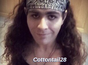 Cottontail28