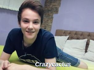 Crazycactus