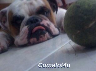 Cumalot4u