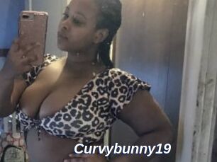 Curvybunny19