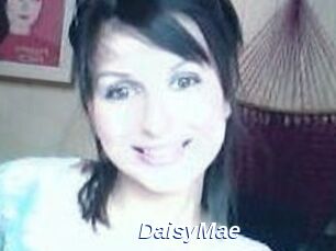 Daisy_Mae