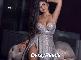 DaisyReeds