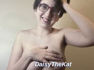 DaisyTheKat