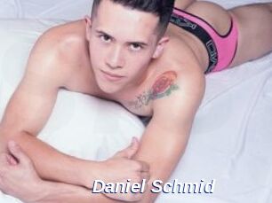 Daniel_Schmid