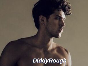 DiddyRough