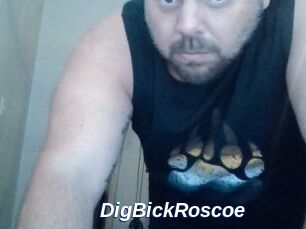 DigBickRoscoe