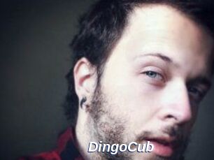 DingoCub