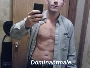 Dominantmale