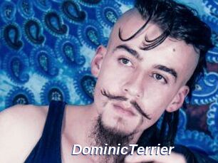 DominicTerrier