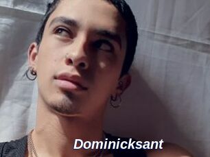 Dominicksant