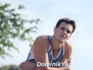 DominikYa