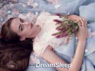 DreamSleep