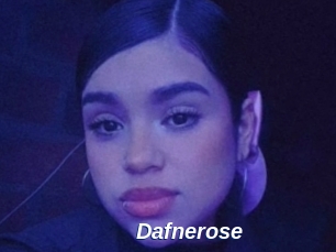 Dafnerose