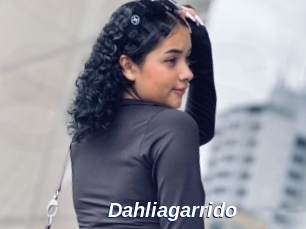 Dahliagarrido