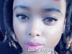Daisy_royal