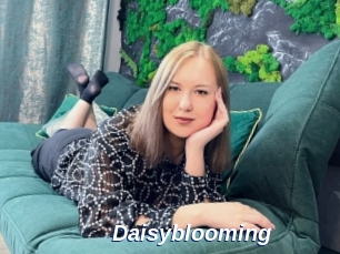 Daisyblooming