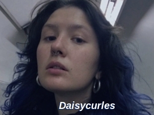 Daisycurles