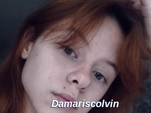 Damariscolvin