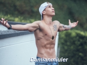 Damianmiuler