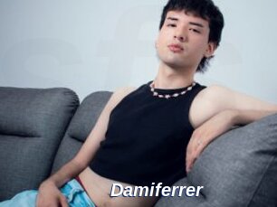 Damiferrer