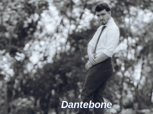 dantebone Safer Sex