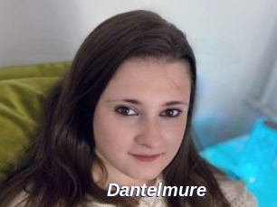 Dantelmure