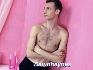 Davidhaynes