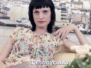 Destinycuddly
