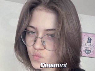 Dinamint