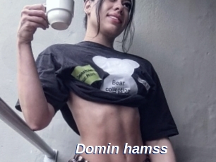 Domin_hamss