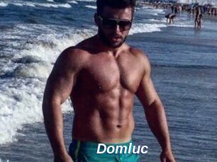 Domluc
