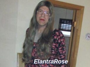 Elantra_Rose