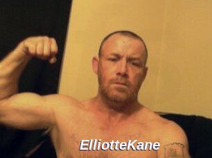 Elliotte_Kane