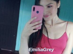 EmiliaGrey Safer Sex