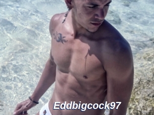 Eddbigcock97