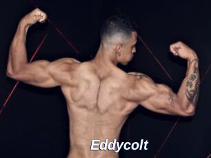 Eddycolt