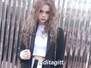 Editagitt