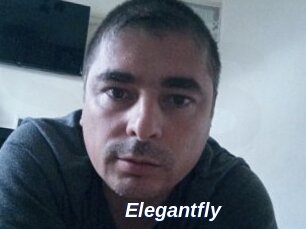 Elegantfly