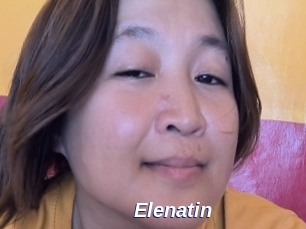 Elenatin