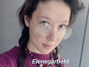 Elenegarfield