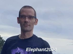 Elephant2024
