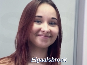 Elgaalsbrook