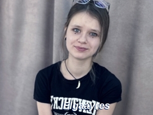 Elgaayres